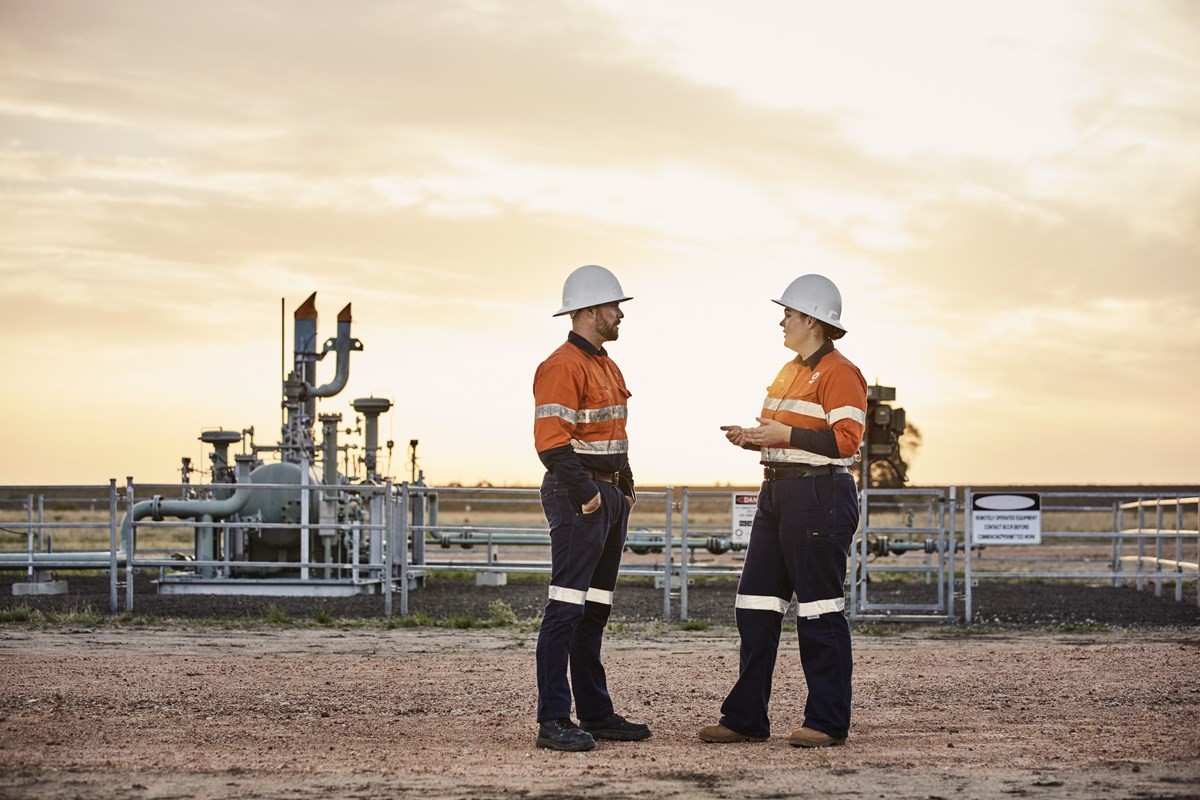 Pathways to net zero