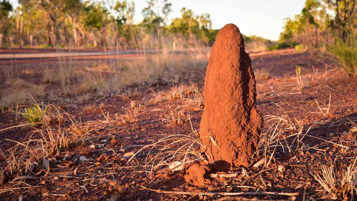 Origin’s Beetaloo Exploration Project FAQ’s&nbsp;Answered