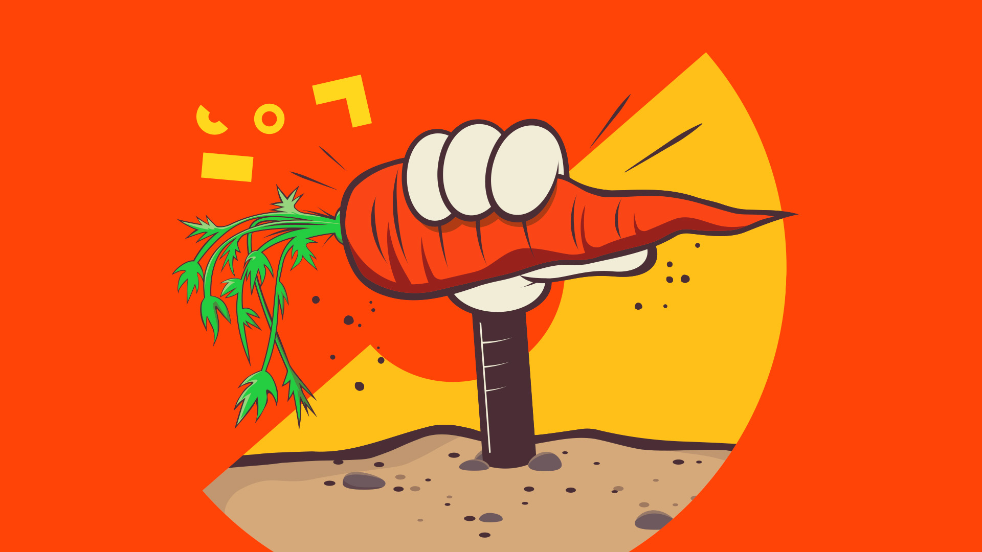 5 eco-friendly hacks for renters