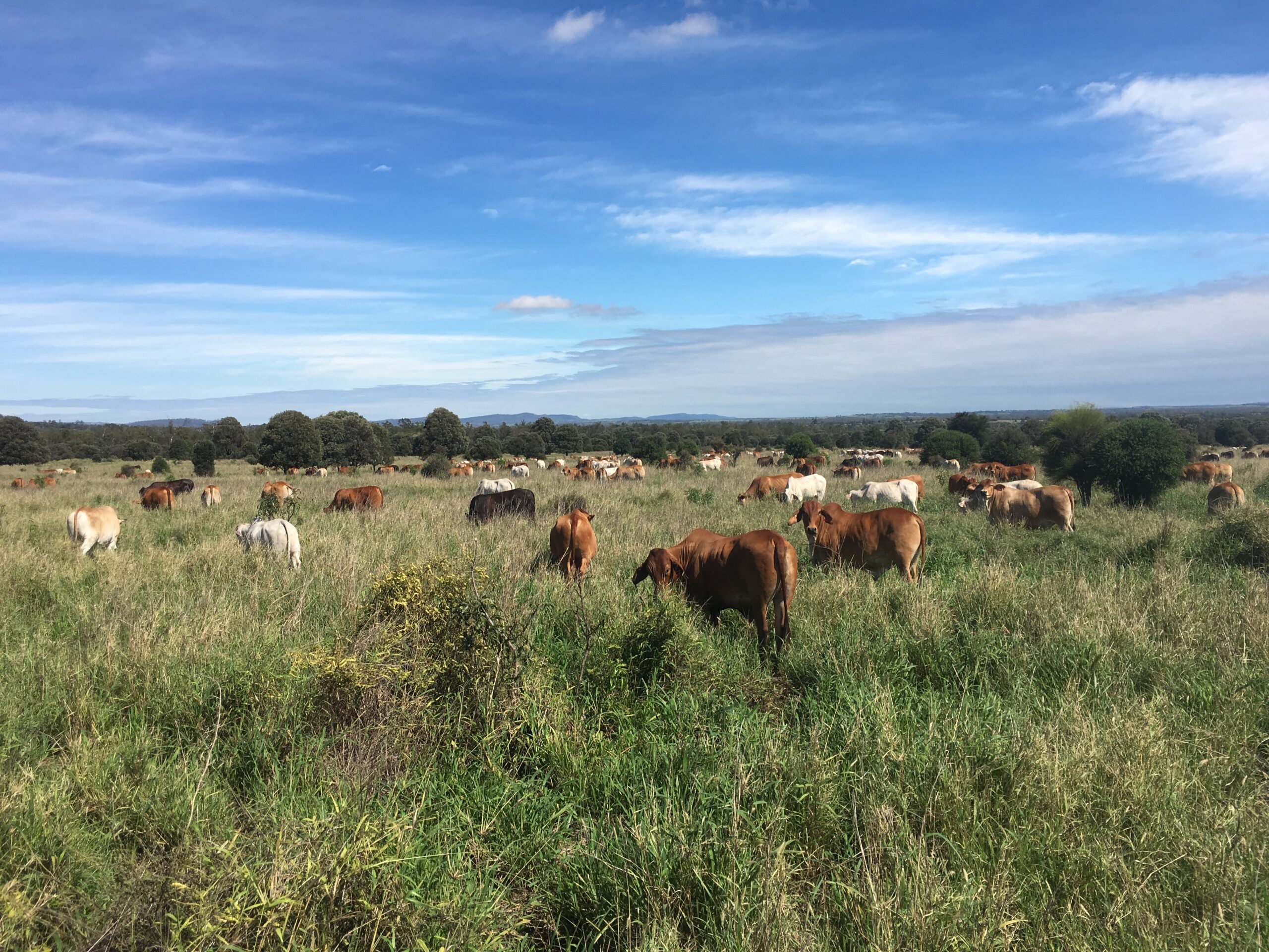 Making a positive impact in Dukes Plain