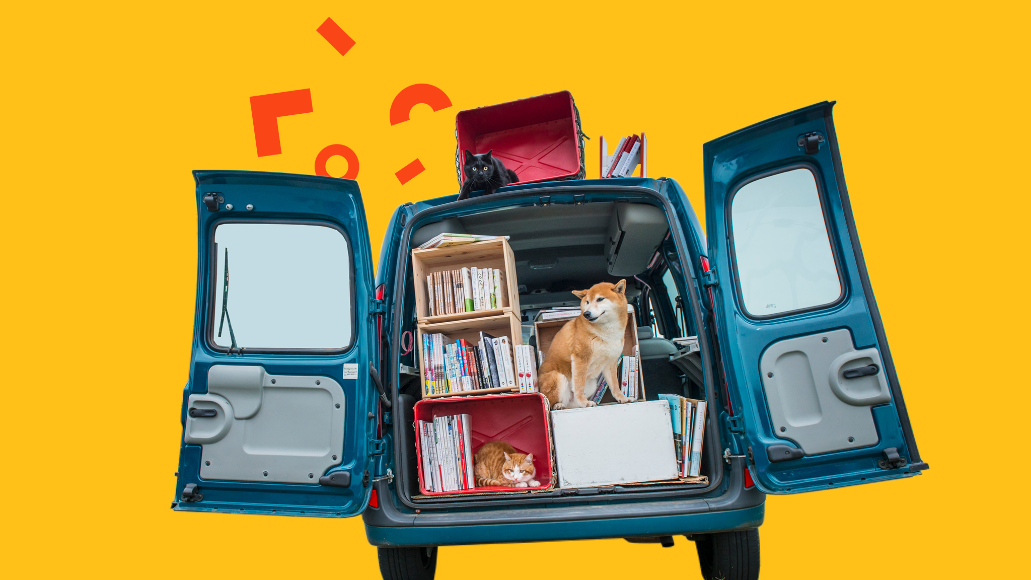 Tips for moving house with&nbsp;pets