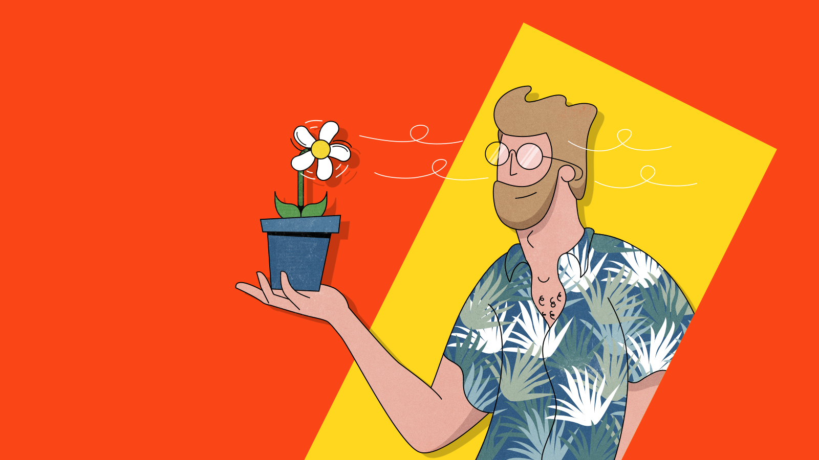 5 plants to help keep your house cool