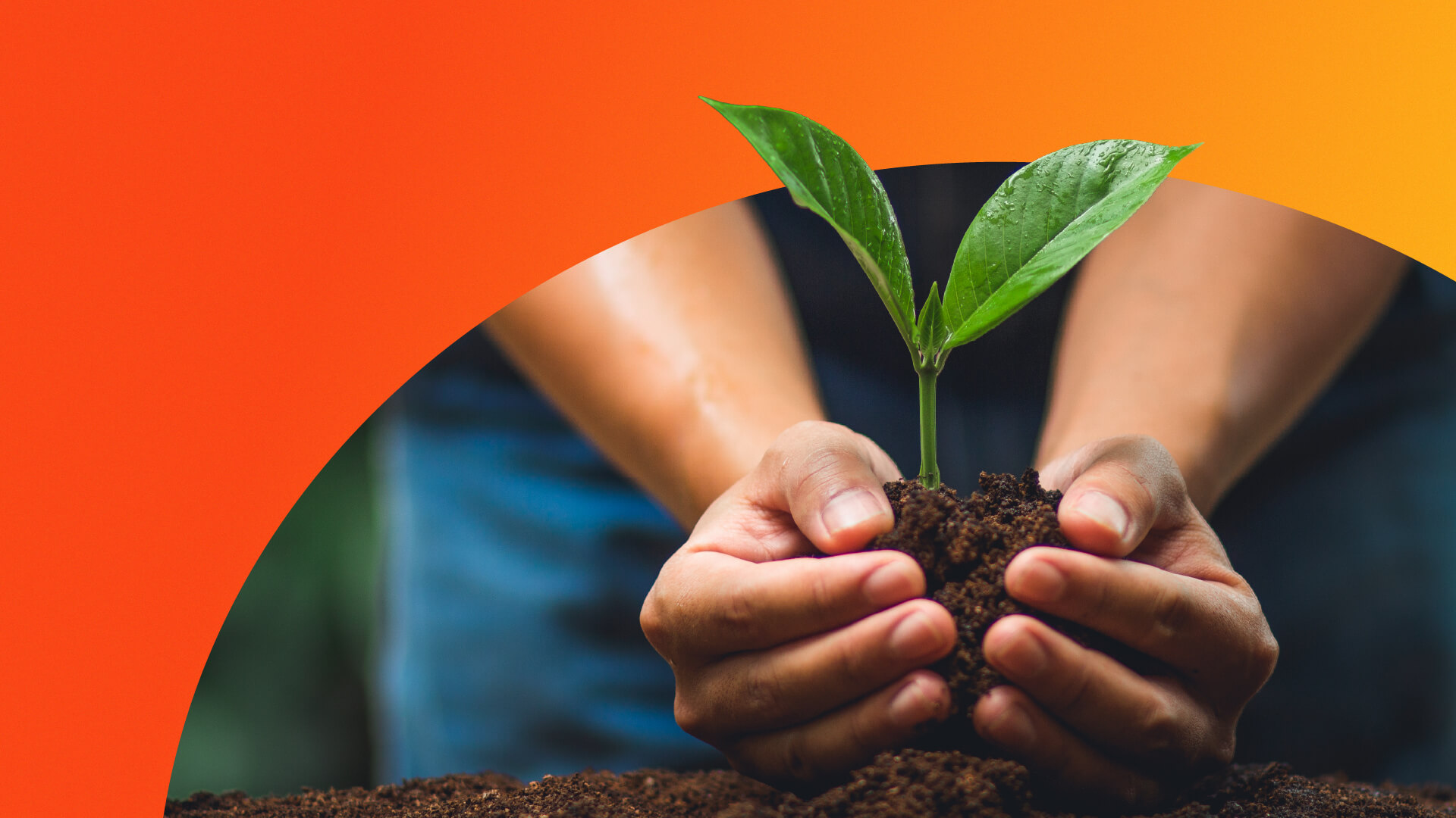 Australian Carbon Credit Units explainer